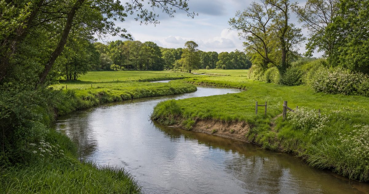 De Slinge in de Achterhoek: hoe deze beek het landschap rond Winterswijk en Groenlo vormde