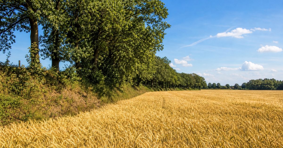 Laatste nieuws Achterhoek: welke thema’s bepalen de streek op de langere termijn?