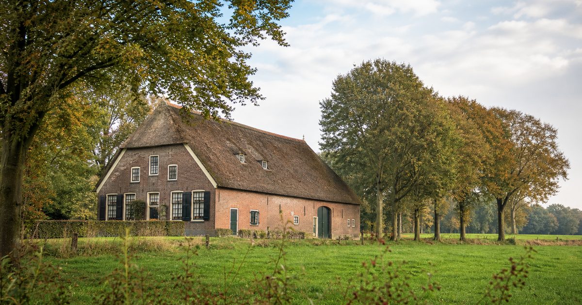 Boerderijtypen in de Achterhoek: waarom zien hallenhuizen er hier zo uit?