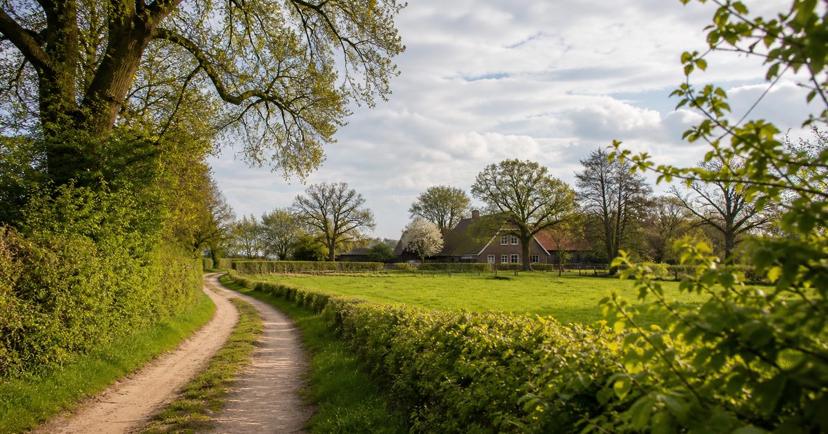 Wandelen in de Achterhoek: waarom het coulisselandschap zo geschikt is voor een lange tocht