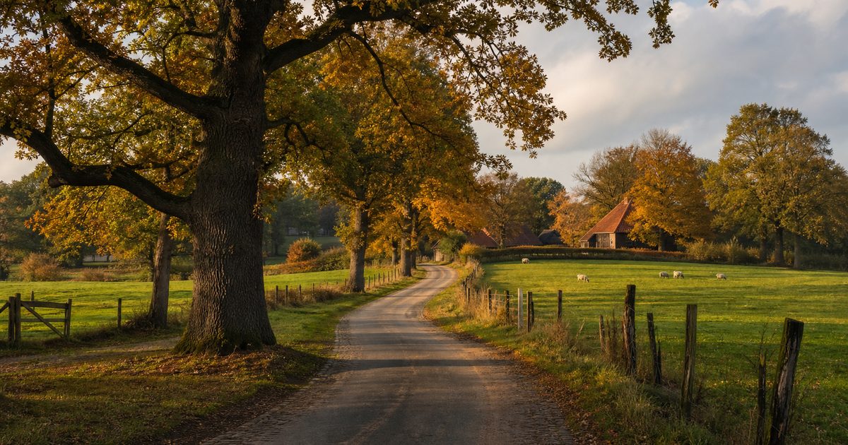 Het dialect van de Achterhoek per plaats: hoor je verschil tussen Winterswijk, Zelhem en Lochem?