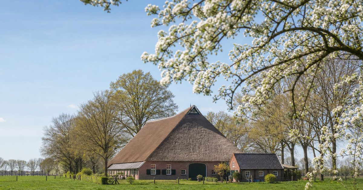 Krimp, vergrijzing en nieuwe inwoners: hoe verandert de bevolking van de Achterhoek?