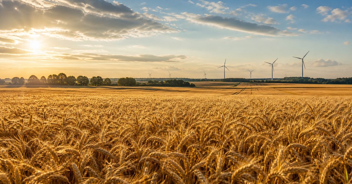 Windmolens en zonneparken in de Achterhoek: waar liggen de plannen en waarom is er discussie?