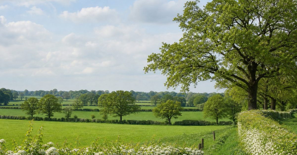 Nieuws Achterhoek week 20 – 11 mei 2026 tot en met 17 mei 2026