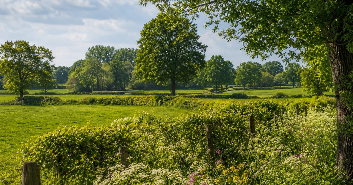 Nieuws Achterhoek week 22