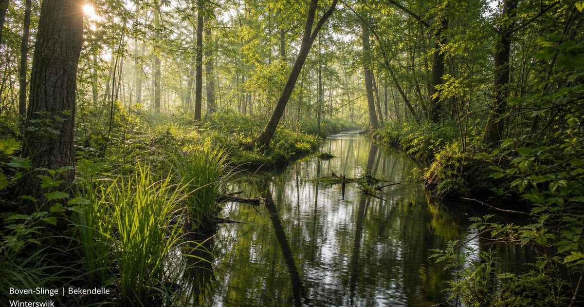 Winterswijk bezienswaardigheden: wat je niet wilt missen in en rond het dorp