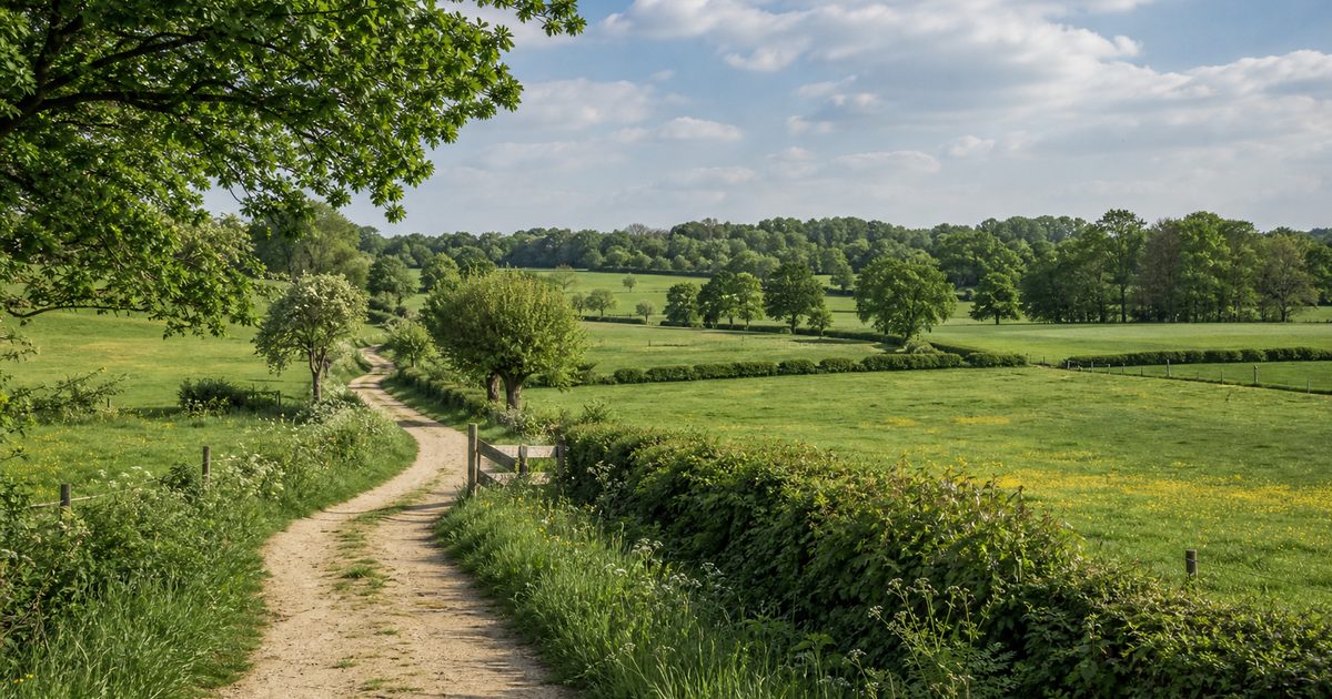 De boerensloten van vroeger: waarom sloten, greppels en houtwallen samen het werkland van de Achterhoek bepaalden