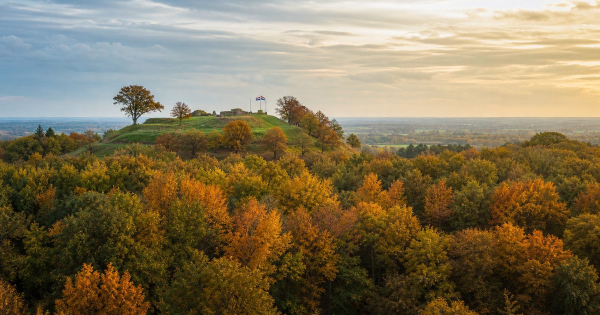 Het Bergherbos: hoe ontstond dit bosgebied bij ’s-Heerenberg?